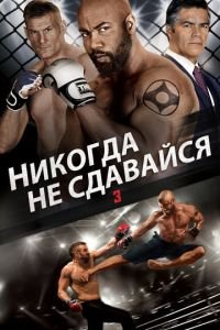   Никогда не сдавайся 3 (2016)