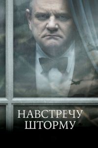 Навстречу шторму (2009)